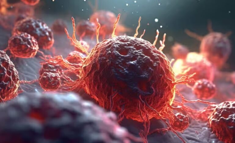 image de l'article : Cancer : des avancées dans l’étude du vieillissement des cellules immunitaires