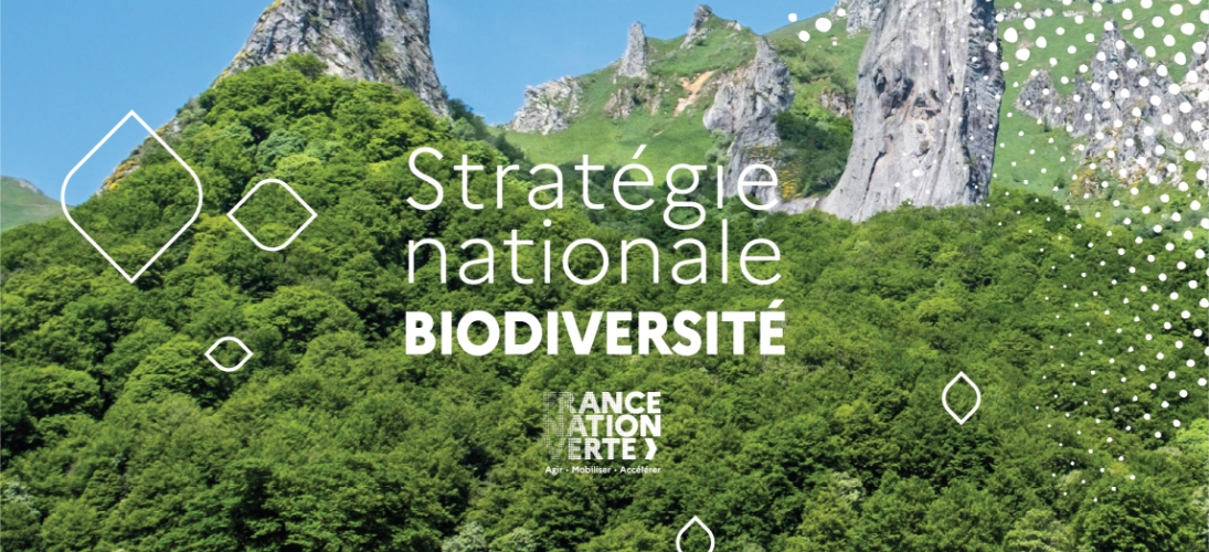 Stratégie nationale de la biodiversité : les principales mesures