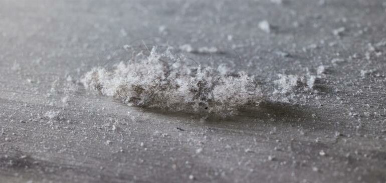 L’air et les poussières de nos habitations sont imprégnés par des pesticides, alors même que certains sont interdits depuis plusieurs années.