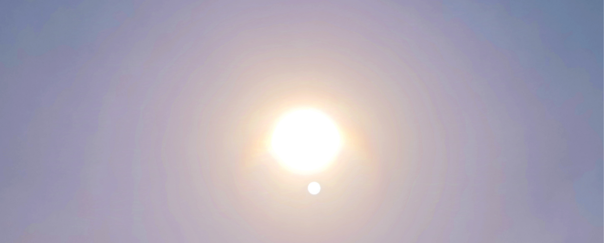 Canicule de juin : un lourd bilan provisoire